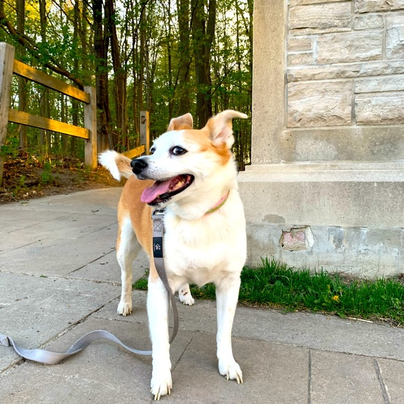 Meet your Posher, Luanne - Picture 1 of 11